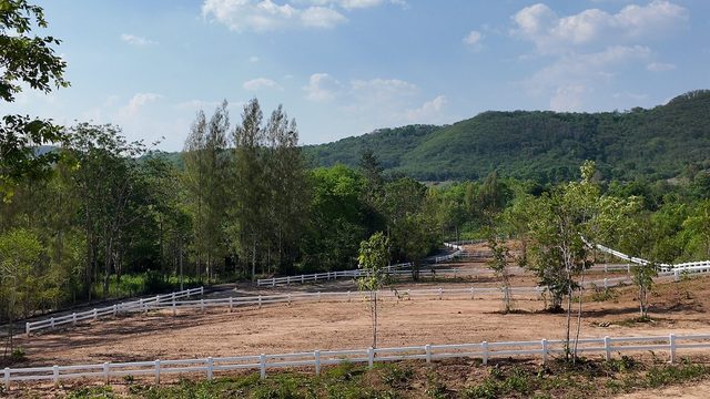 ⛰️ 4 แปลงสุดท้าย! ที่ดินเนินเขาทำเลพรีเมียม